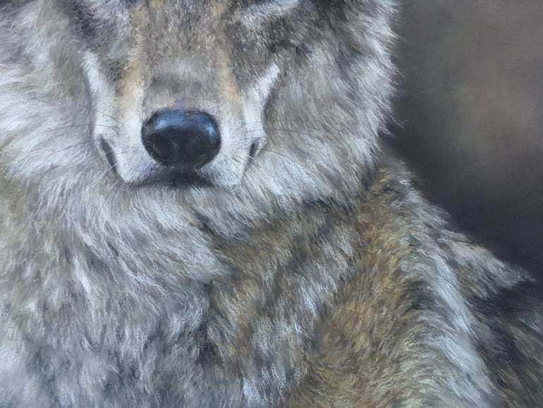 Original Realism Animal Drawing by Juan Pastor De La Puente