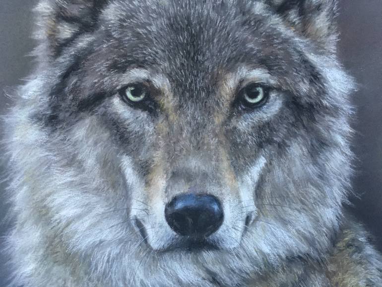 Original Realism Animal Drawing by Juan Pastor De La Puente