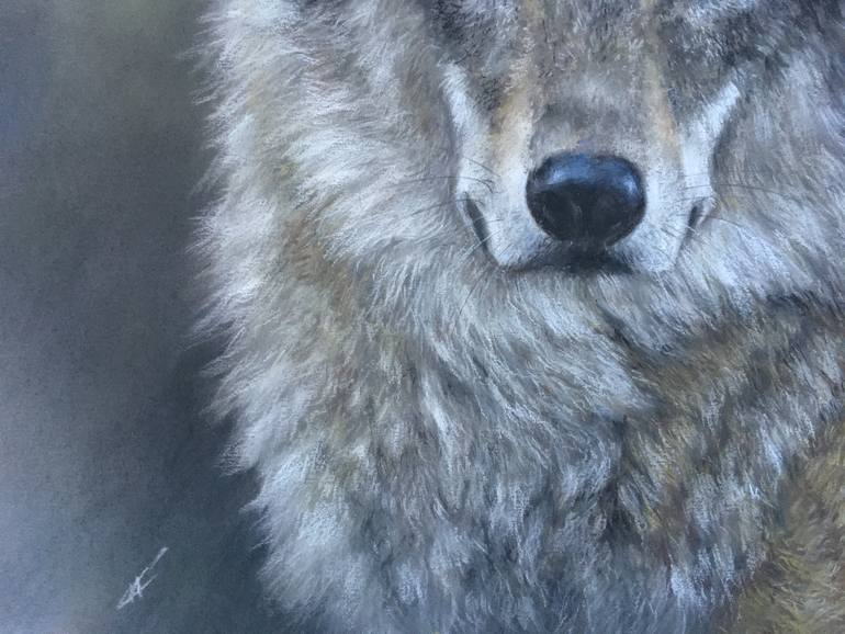 Original Realism Animal Drawing by Juan Pastor De La Puente