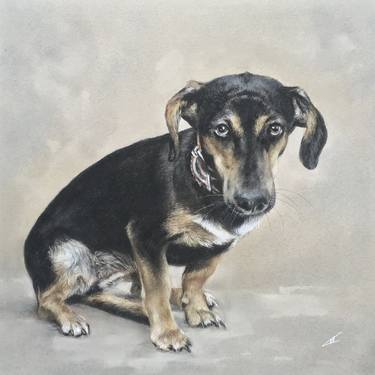 Original Realism Animal Drawings by Juan Pastor de la Puente