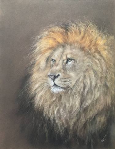 Original Realism Animal Drawings by Juan Pastor de la Puente