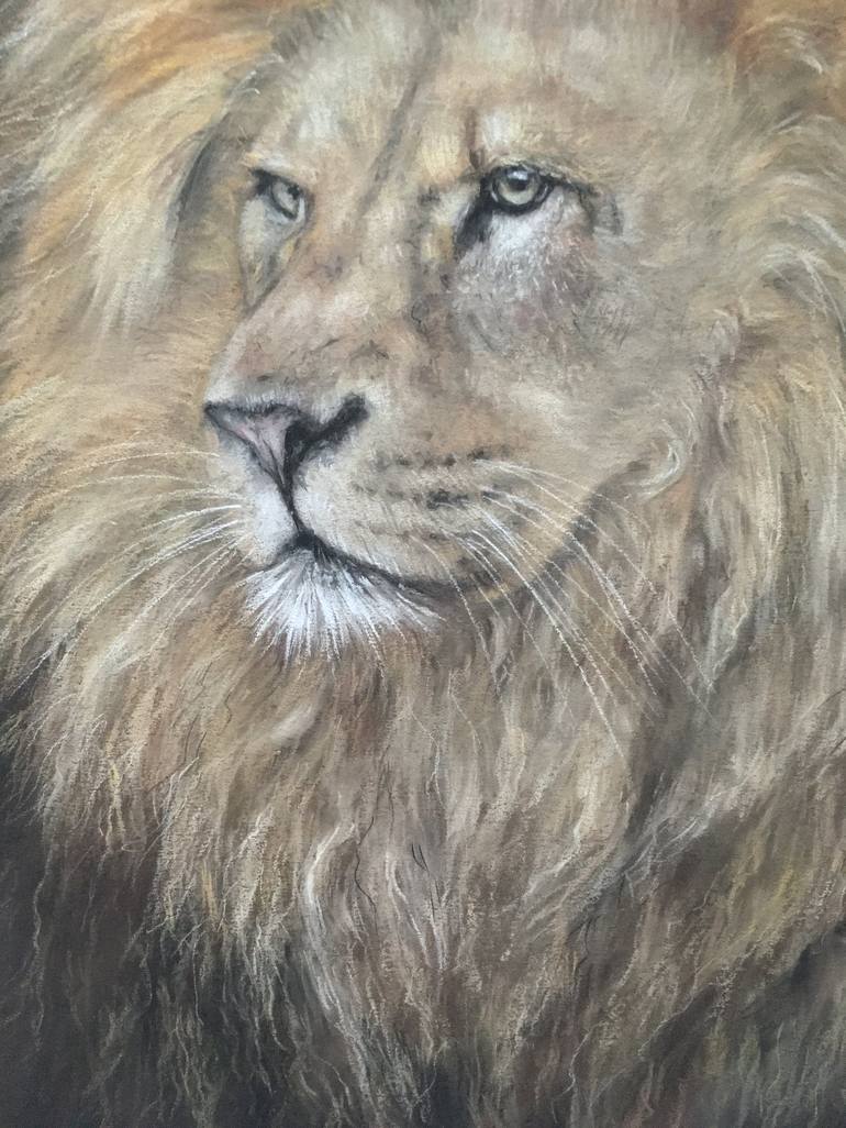 Original Realism Animal Drawing by Juan Pastor de la Puente