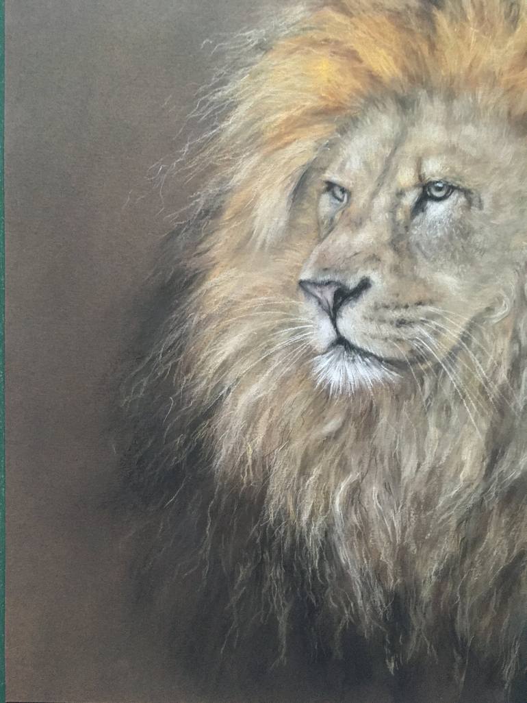 Original Realism Animal Drawing by Juan Pastor de la Puente