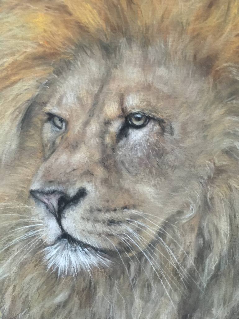 Original Realism Animal Drawing by Juan Pastor de la Puente