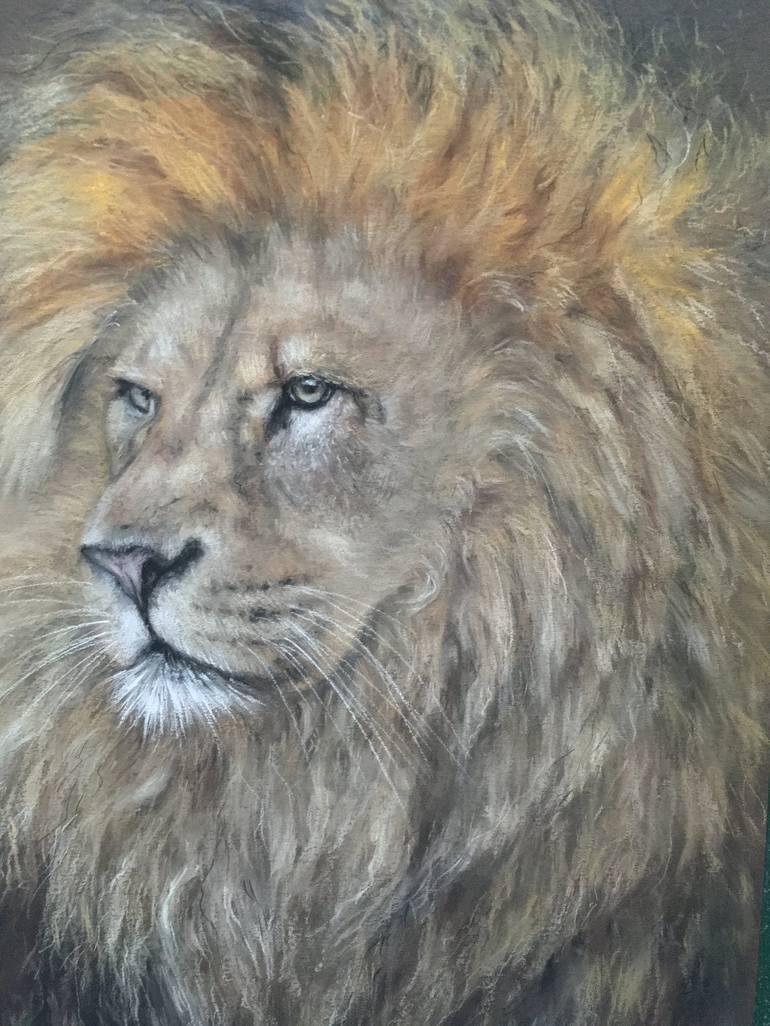 Original Realism Animal Drawing by Juan Pastor de la Puente