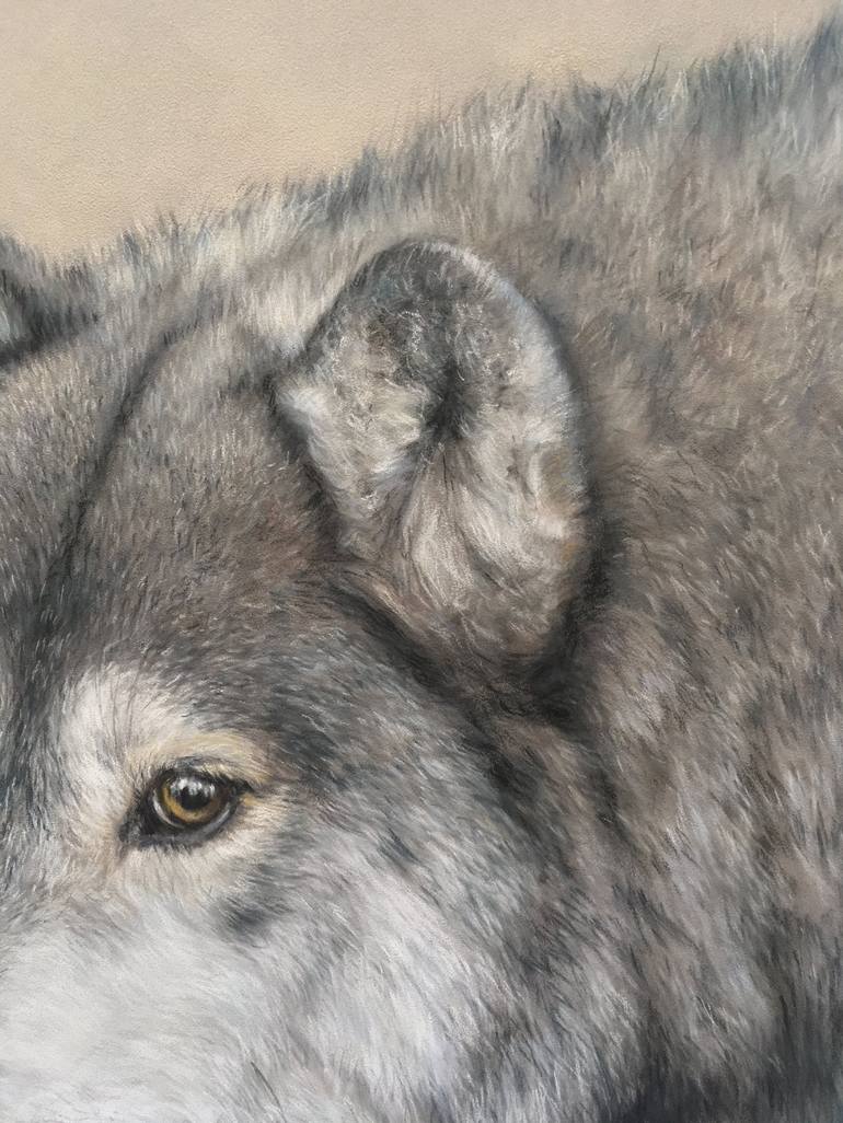 Original Realism Animal Drawing by Juan Pastor de la Puente