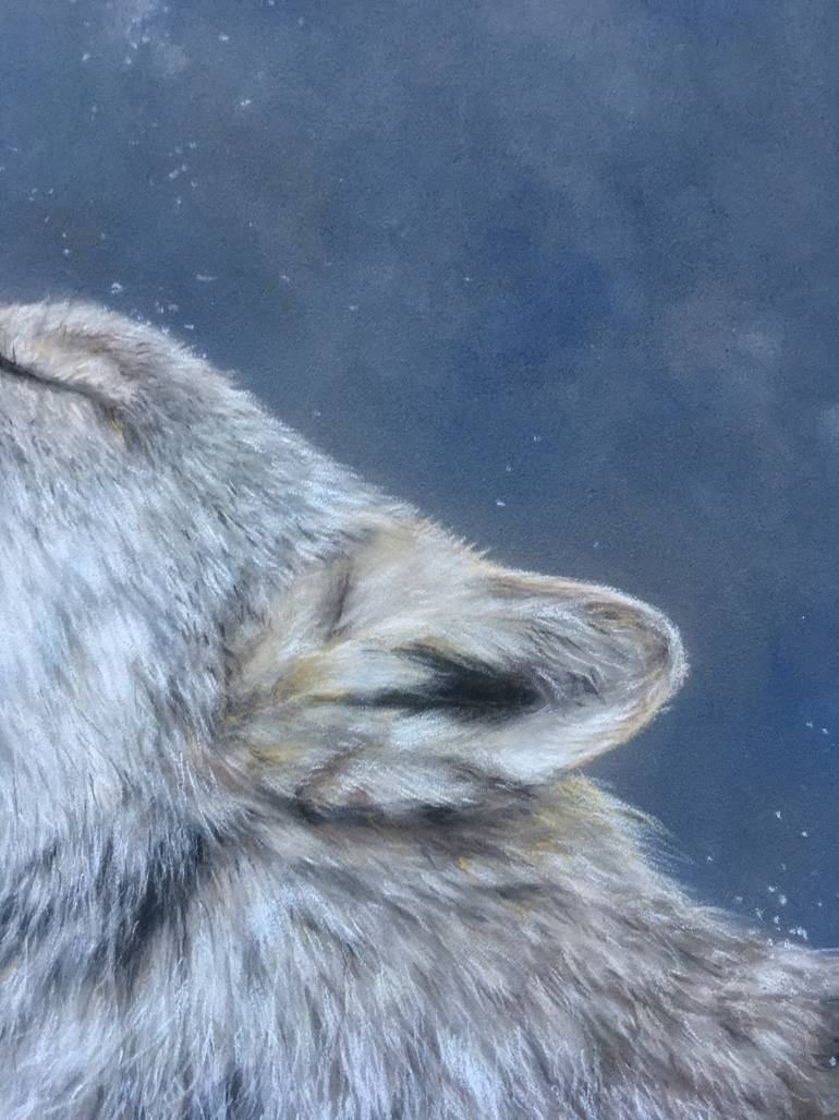 Original Realism Animal Drawing by Juan Pastor De La Puente