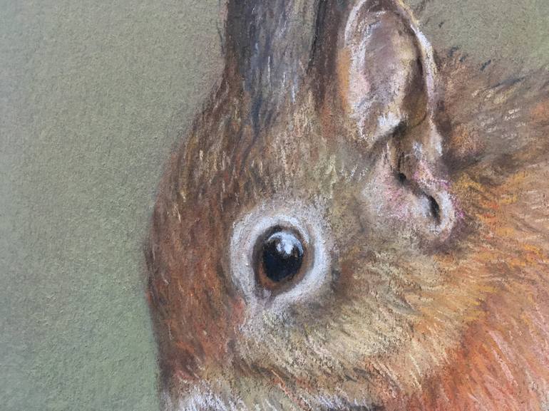 Original Realism Animal Drawing by Juan Pastor de la Puente