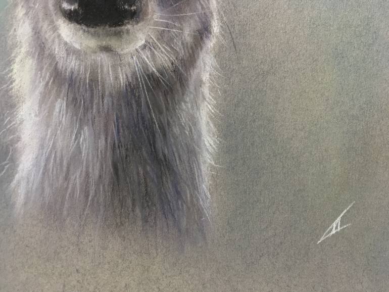 Original Realism Animal Drawing by Juan Pastor De La Puente