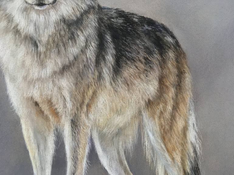 Original Realism Animal Drawing by Juan Pastor de la Puente