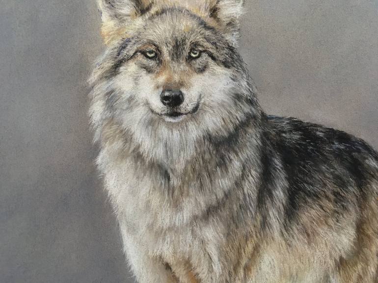 Original Realism Animal Drawing by Juan Pastor de la Puente