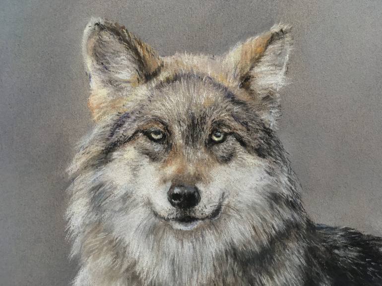 Original Realism Animal Drawing by Juan Pastor de la Puente