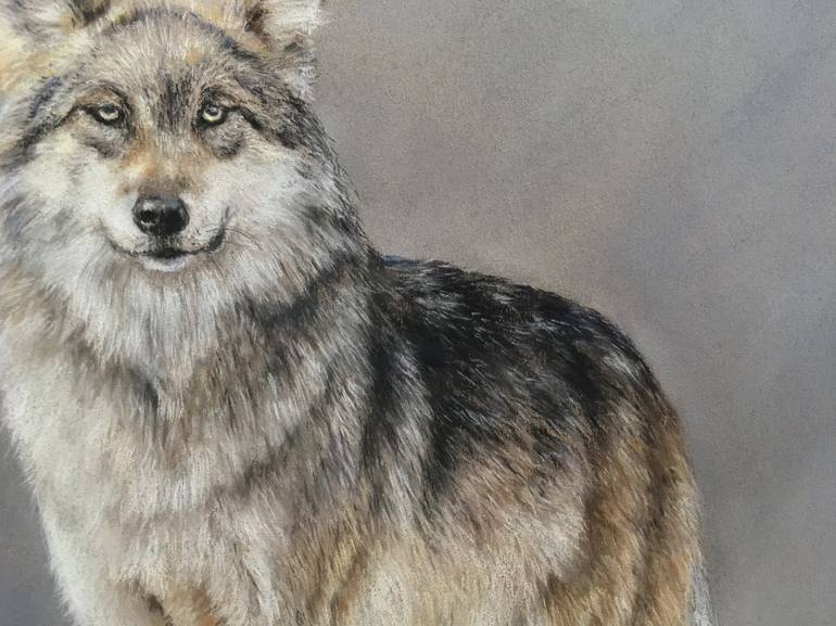 Original Realism Animal Drawing by Juan Pastor de la Puente