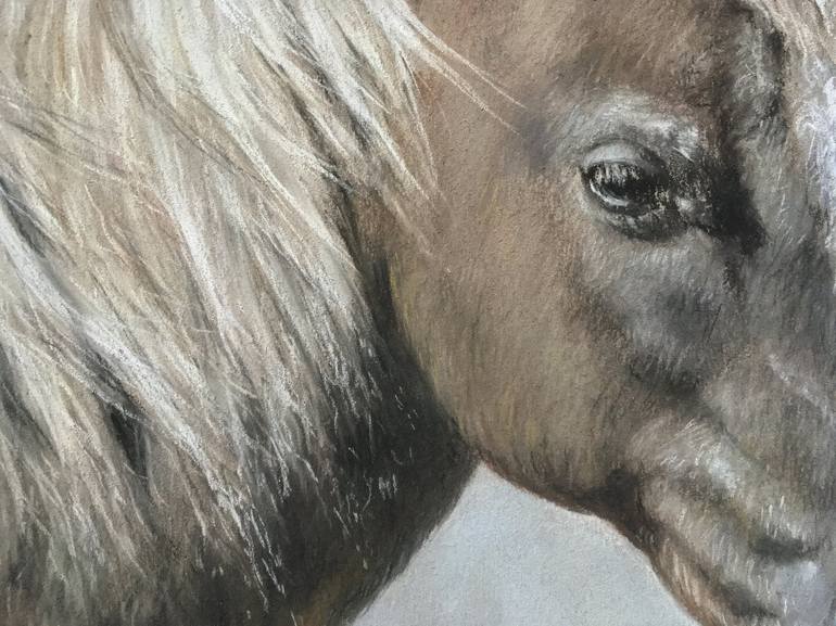 Original Realism Animal Drawing by Juan Pastor de la Puente