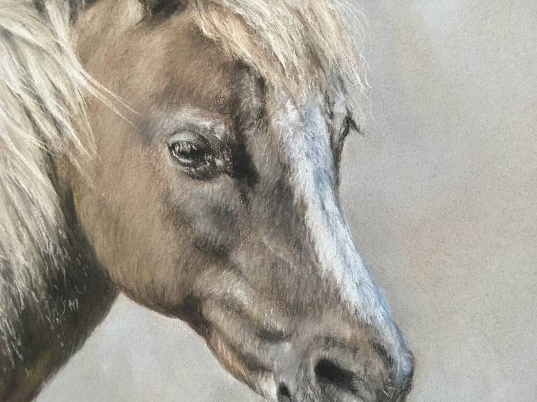 Original Realism Animal Drawing by Juan Pastor de la Puente