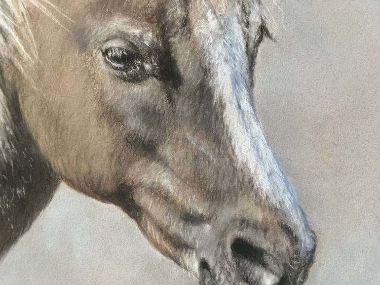 Original Realism Animal Drawing by Juan Pastor de la Puente