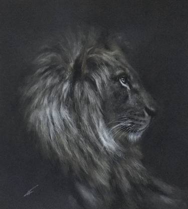 Original Realism Animal Drawings by Juan Pastor de la Puente