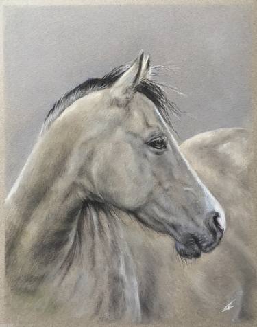 Print of Realism Animal Drawings by Juan Pastor de la Puente