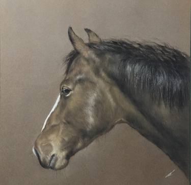 Original Realism Animal Drawings by Juan Pastor de la Puente