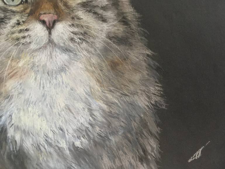 Original Realism Animal Drawing by Juan Pastor de la Puente