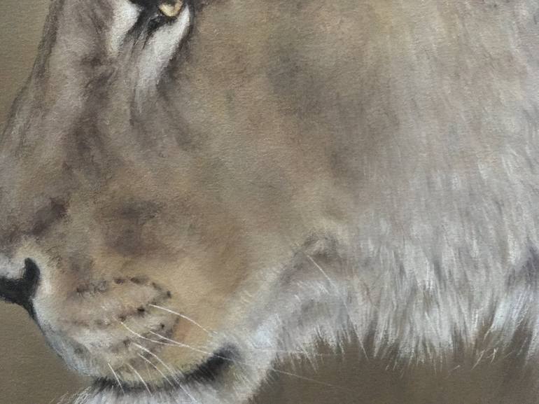 Original Realism Animal Drawing by Juan Pastor De La Puente