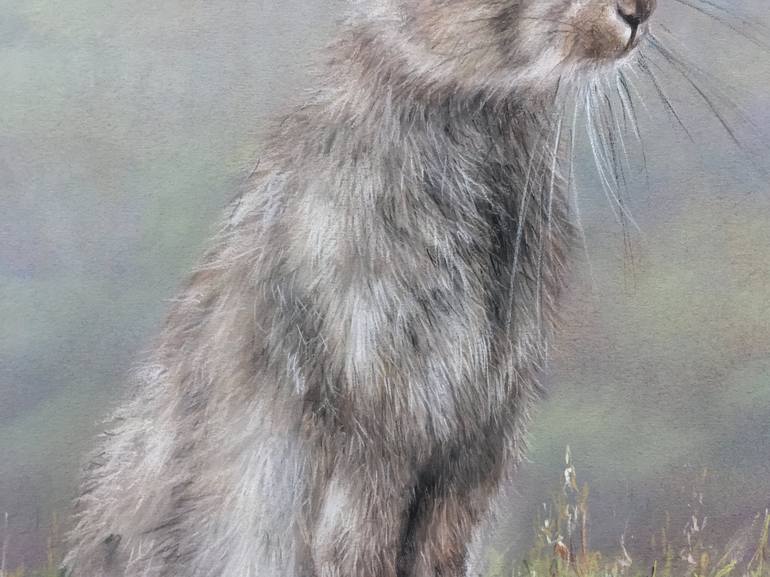 Original Realism Animal Drawing by Juan Pastor de la Puente