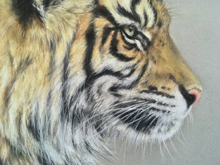 Original Realism Animal Drawing by Juan Pastor de la Puente