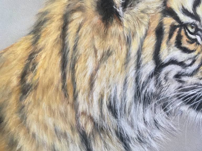 Original Realism Animal Drawing by Juan Pastor de la Puente