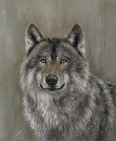 Original Realism Animal Drawings by Juan Pastor de la Puente