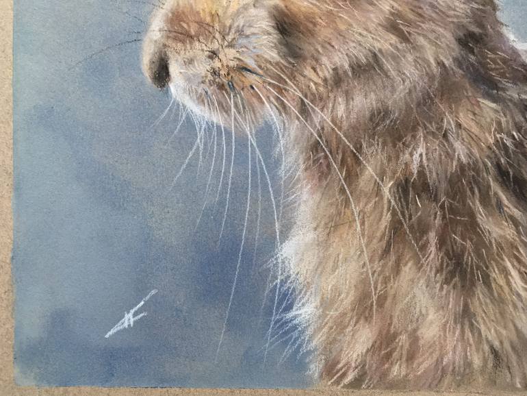 Original Realism Animal Drawing by Juan Pastor De La Puente