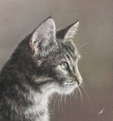 Original Realism Animal Drawings by Juan Pastor de la Puente