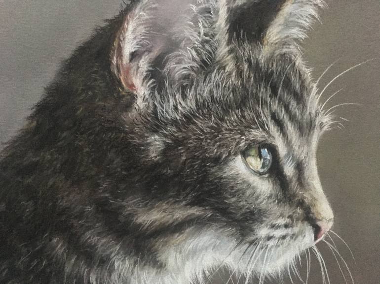 Original Realism Animal Drawing by Juan Pastor de la Puente