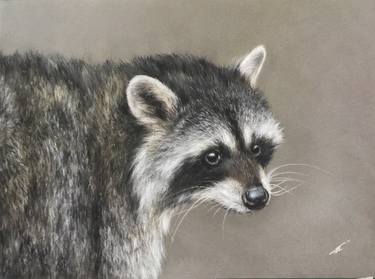 Original Realism Animal Drawings by Juan Pastor de la Puente