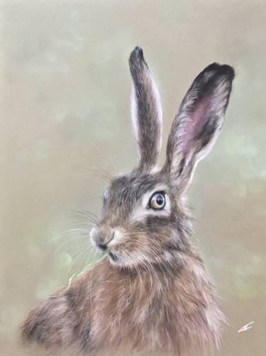 Original Realism Animal Drawings by Juan Pastor de la Puente