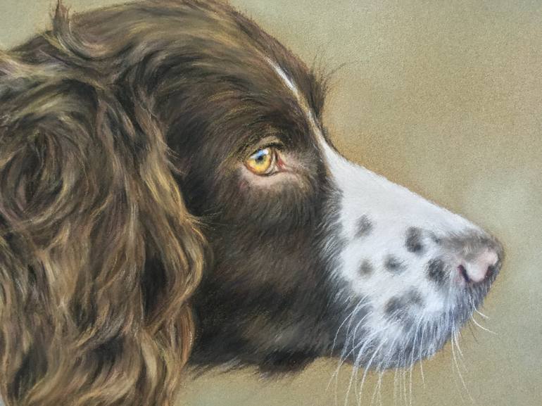 Original Realism Animal Drawing by Juan Pastor De La Puente