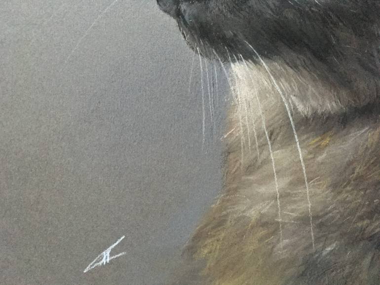Original Realism Animal Drawing by Juan Pastor De La Puente
