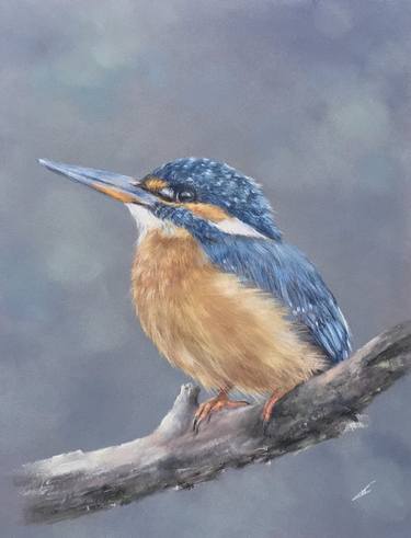 Kingfisher portrait thumb