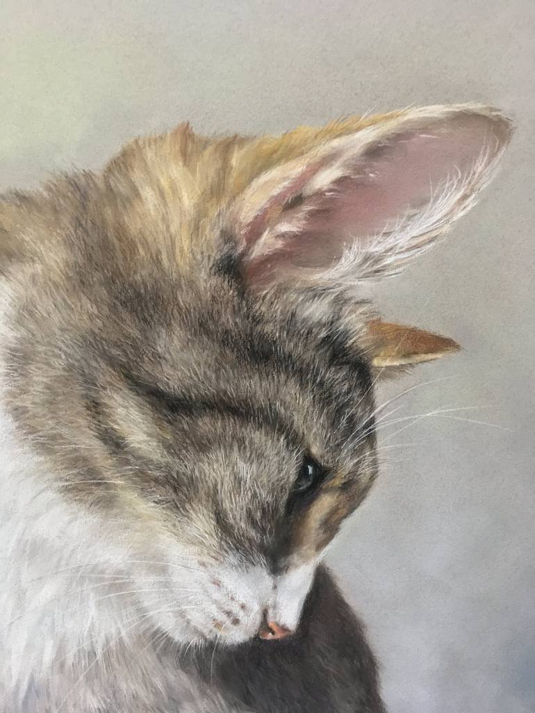 Original Realism Animal Drawing by Juan Pastor de la Puente