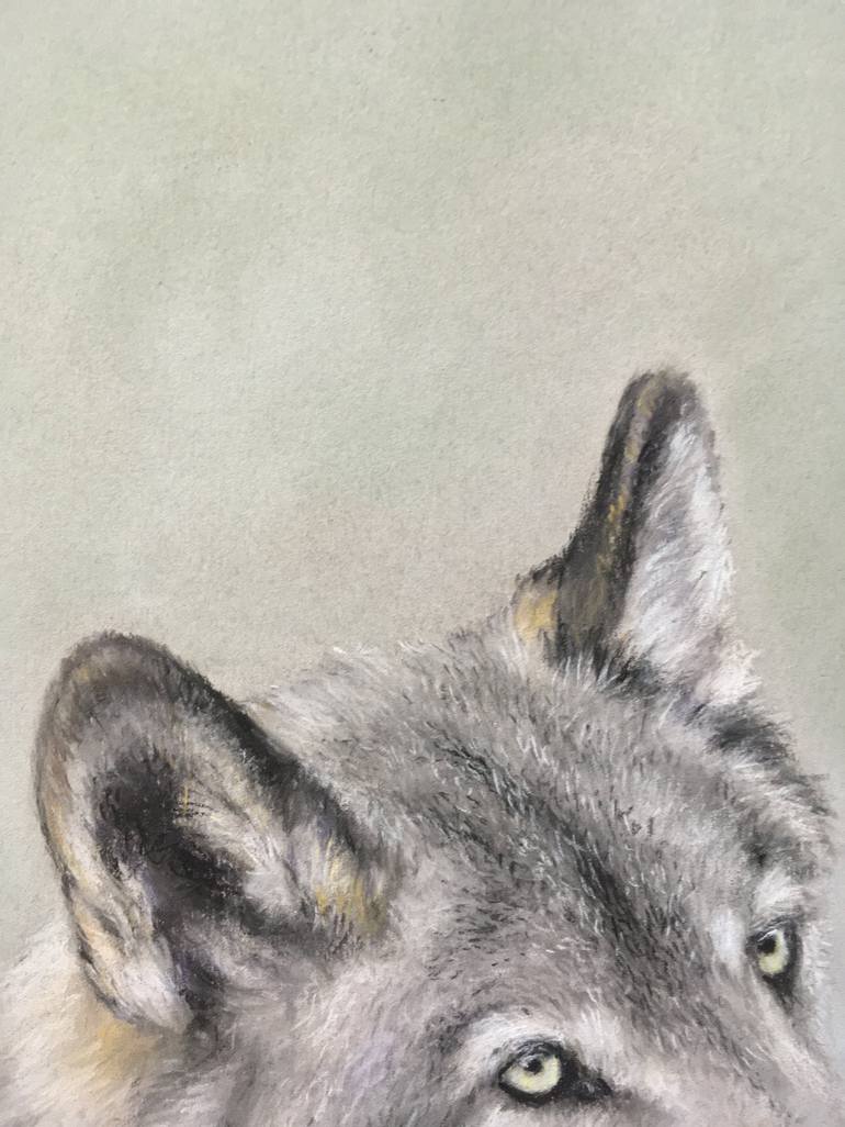 Original Animal Drawing by Juan Pastor de la Puente