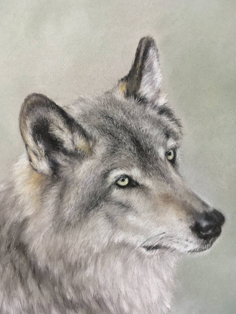 Original Realism Animal Drawing by Juan Pastor de la Puente