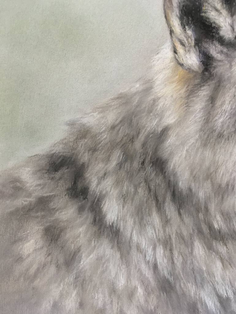 Original Realism Animal Drawing by Juan Pastor de la Puente