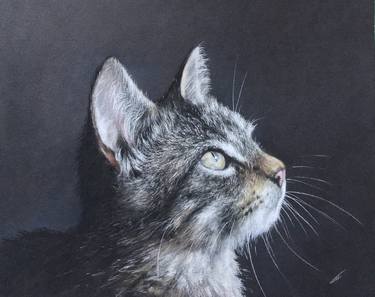 Original Realism Animal Drawings by Juan Pastor de la Puente