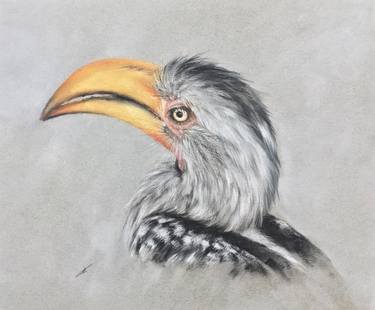 Original Realism Animal Drawings by Juan Pastor de la Puente