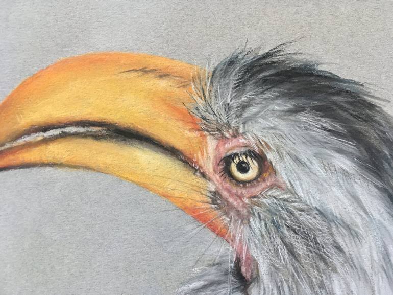 Original Realism Animal Drawing by Juan Pastor de la Puente