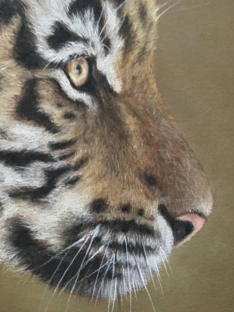 Original Realism Animal Drawing by Juan Pastor de la Puente