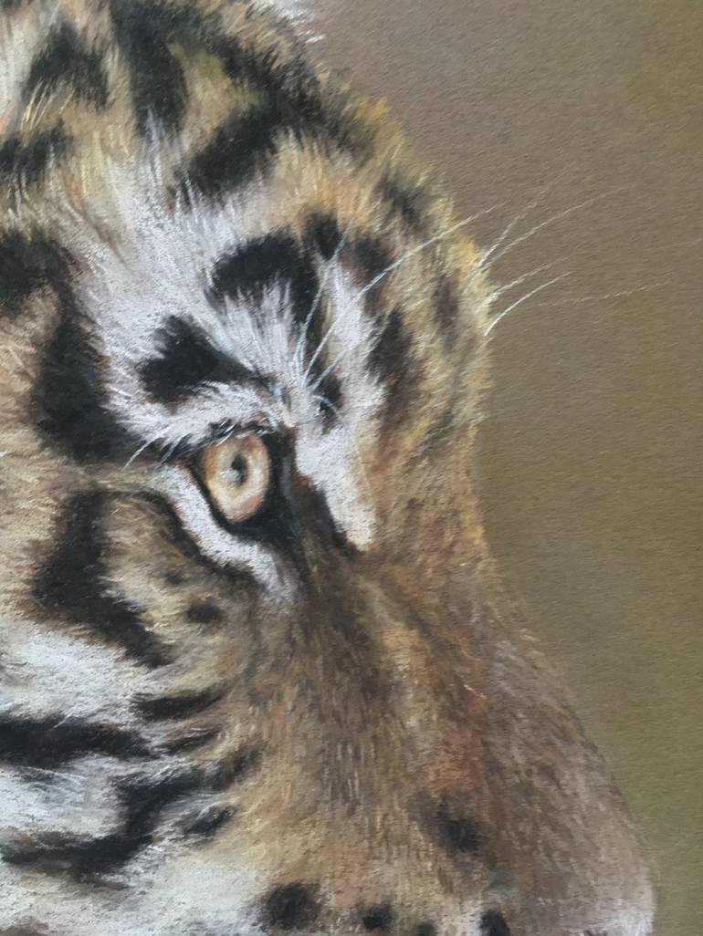 Original Realism Animal Drawing by Juan Pastor de la Puente