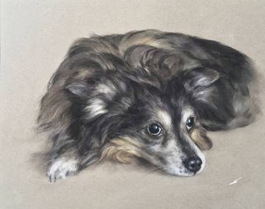 Original Realism Animal Drawings by Juan Pastor de la Puente