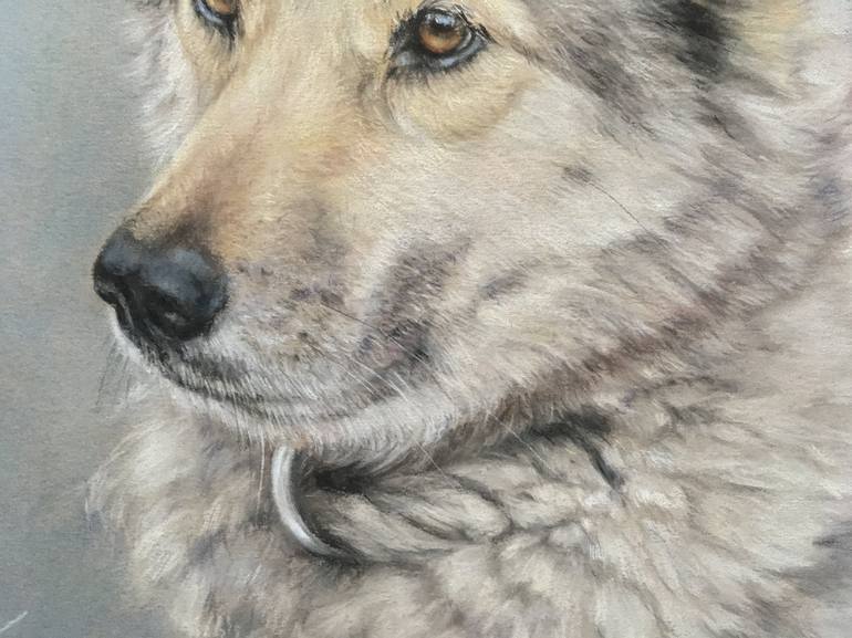 Original Realism Animal Drawing by Juan Pastor de la Puente