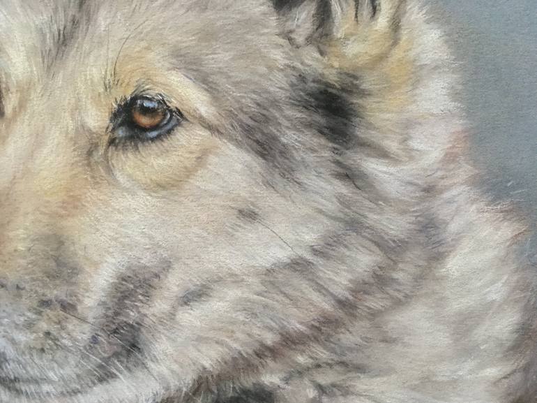 Original Realism Animal Drawing by Juan Pastor De La Puente