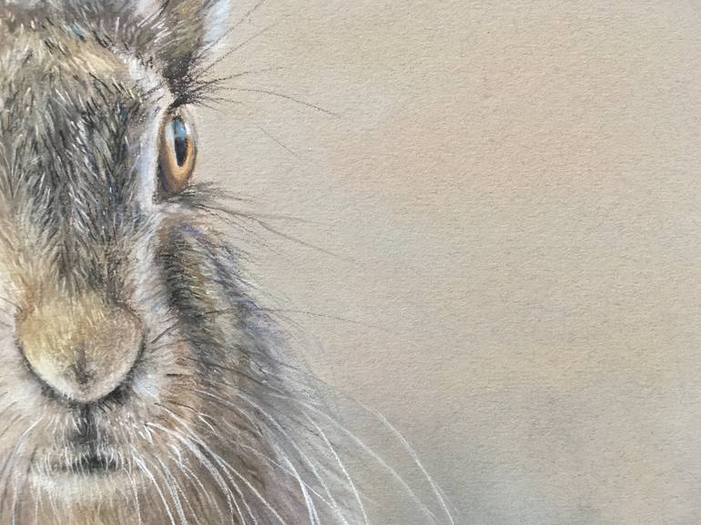 Original Realism Animal Drawing by Juan Pastor De La Puente